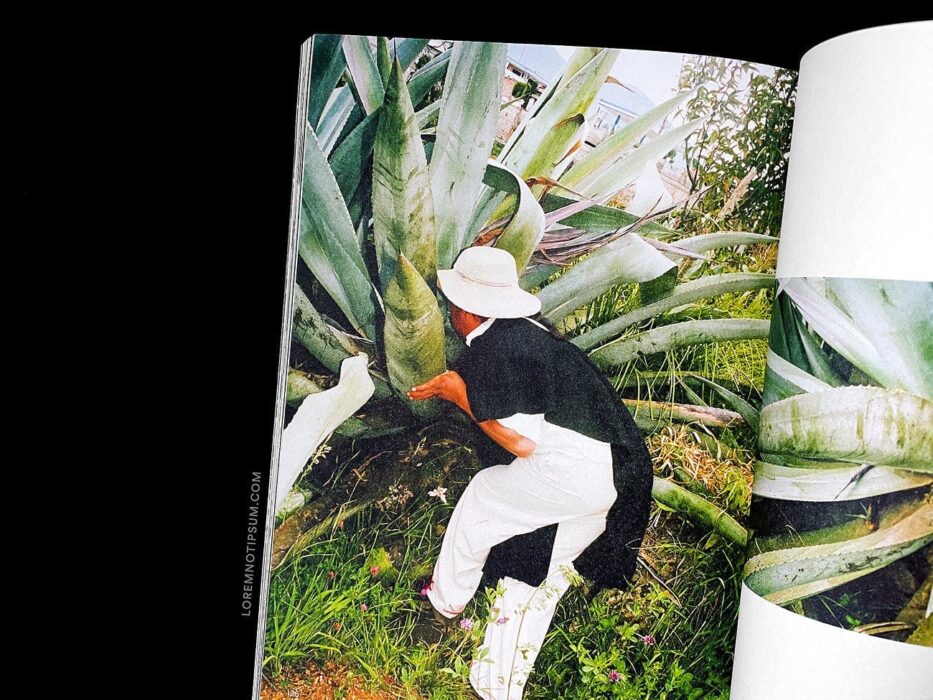 Lindsay Magazine Issue 5 – loremnotipsum.com