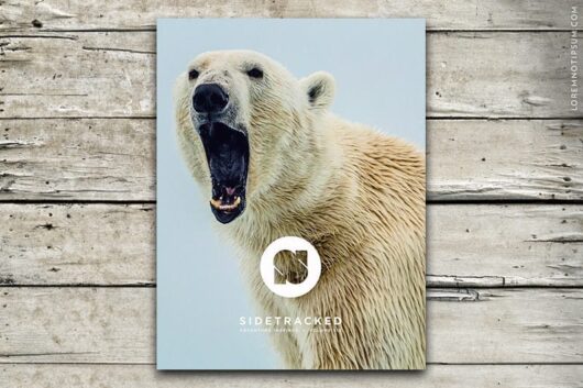 Sidetracked Magazine – Volume 6