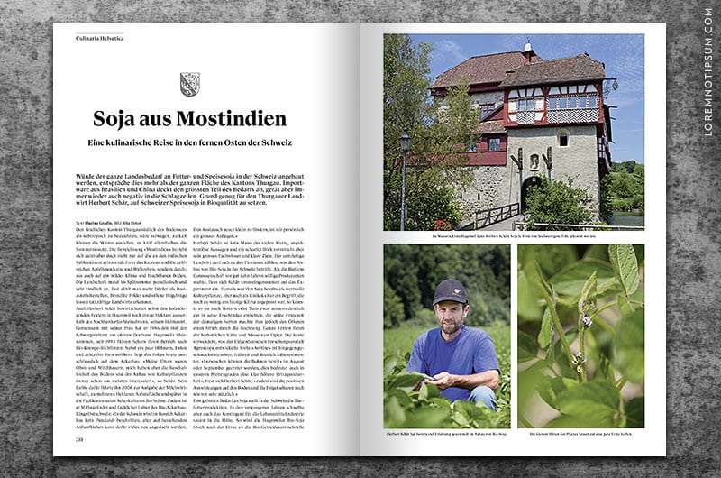 transhelvetica_ausgabe_18_08