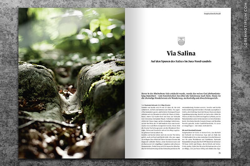 transhelvetica_ausgabe_18_13
