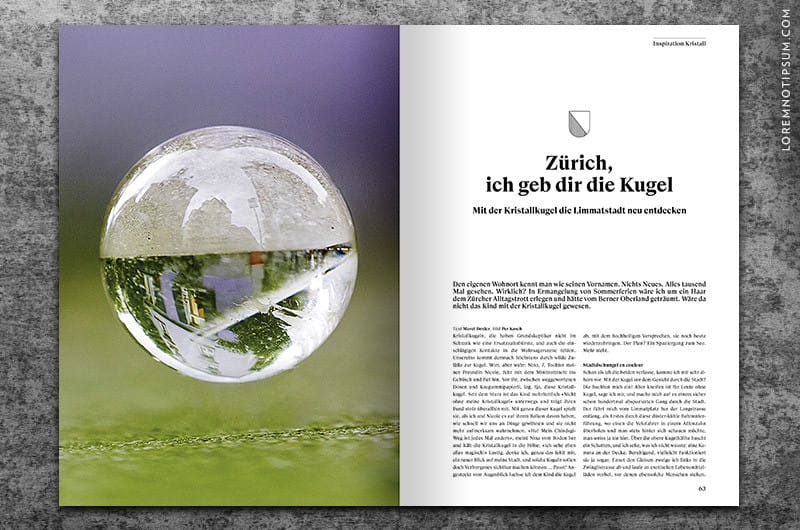 transhelvetica_ausgabe_18_17