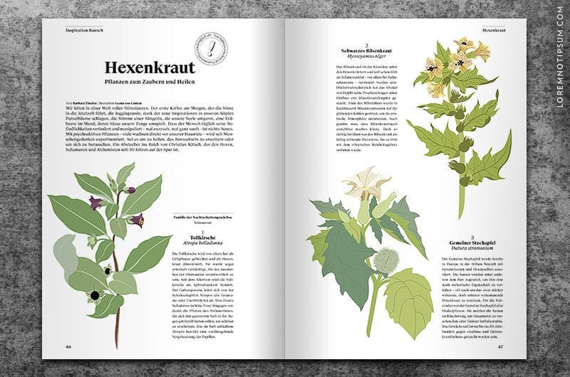 transhelvetica_ausgabe_23_10