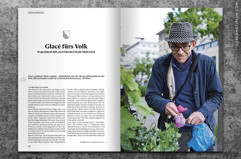 transhelvetica_ausgabe_23_11