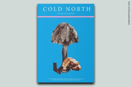 Cold North Magazine – Issue 2
