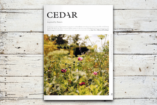 Cedar Magazine – Issue 2