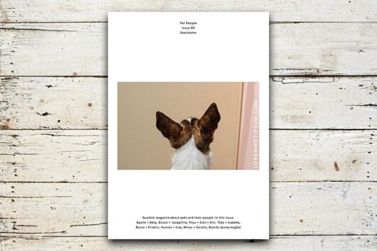 Pet People Magazine – Issue 3