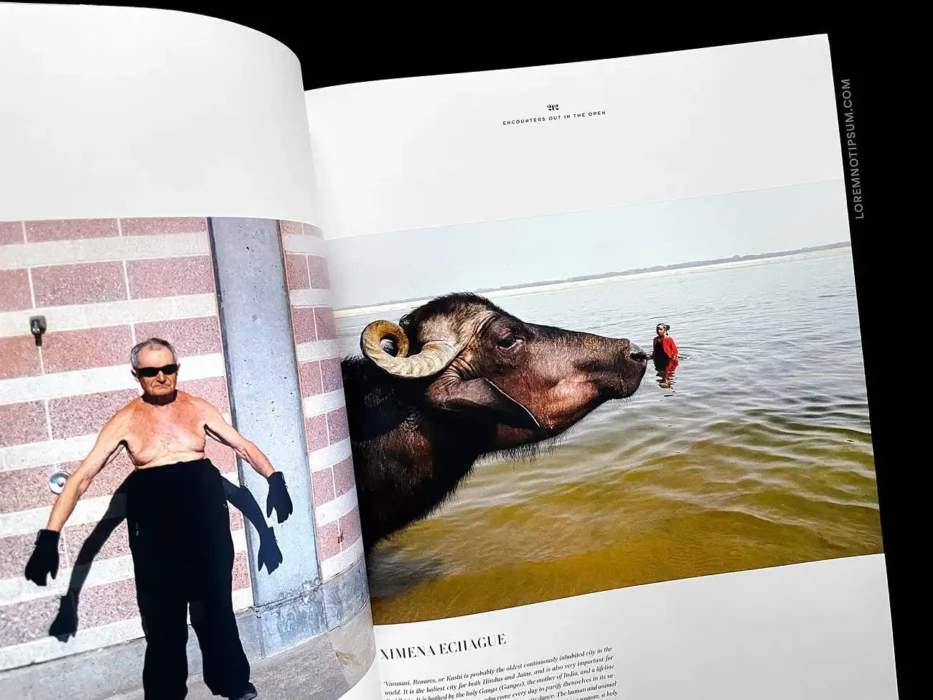 loremnotipsum_212-magazine_issue012_15