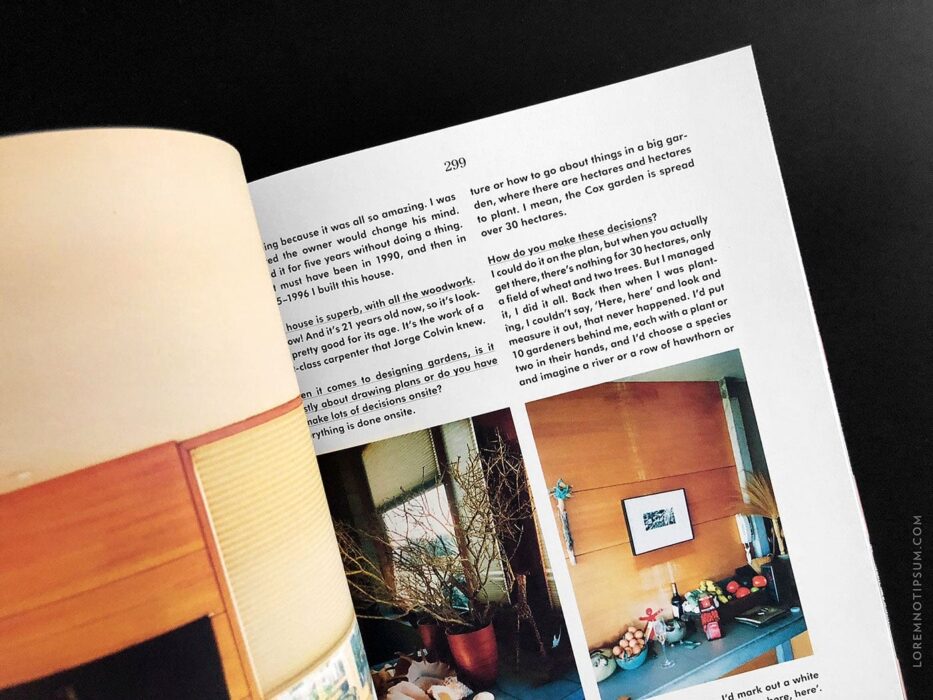 loremnotipsum_apartamento_issue21_07