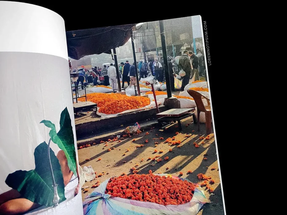 loremnotipsum_blumenhaus-magazine_issue2_23
