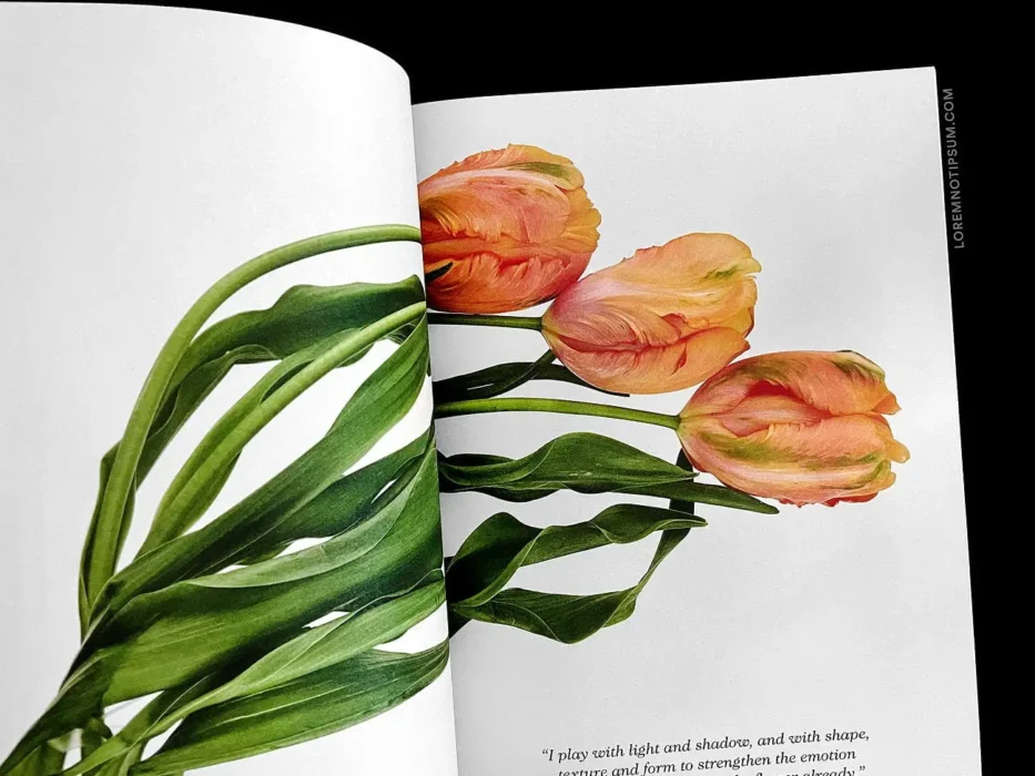 loremnotipsum_blumenhaus-magazine_issue2_31