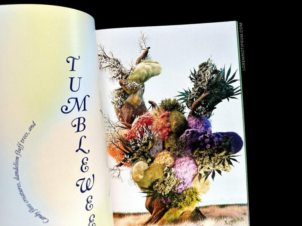 Broccoli Magazine Issue 15 – loremnotipsum.com