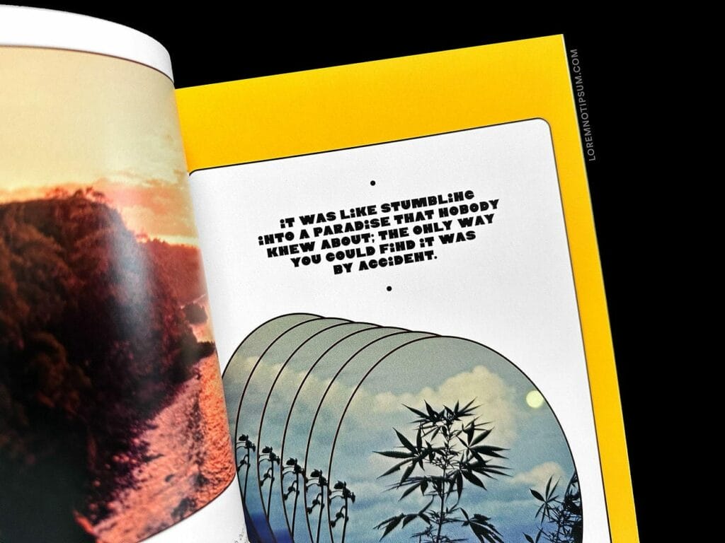 Broccoli Magazine Issue 15 – loremnotipsum.com