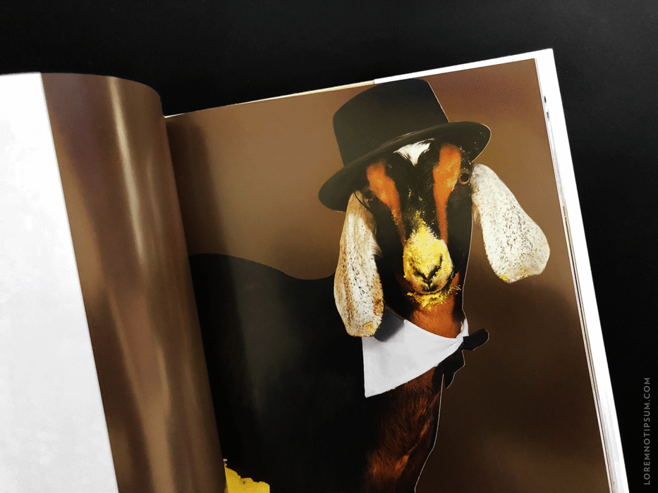 loremnotipsum_buffalo-zine_issue8_07