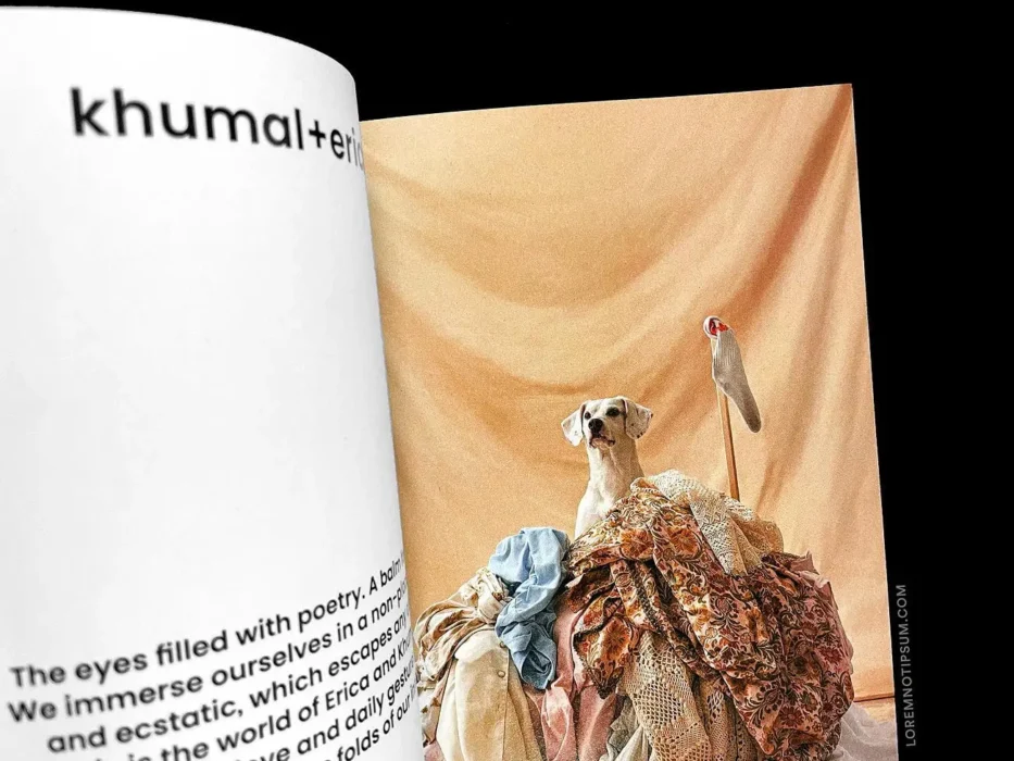loremnotipsum_dog-and-human_magazine_issue2_04