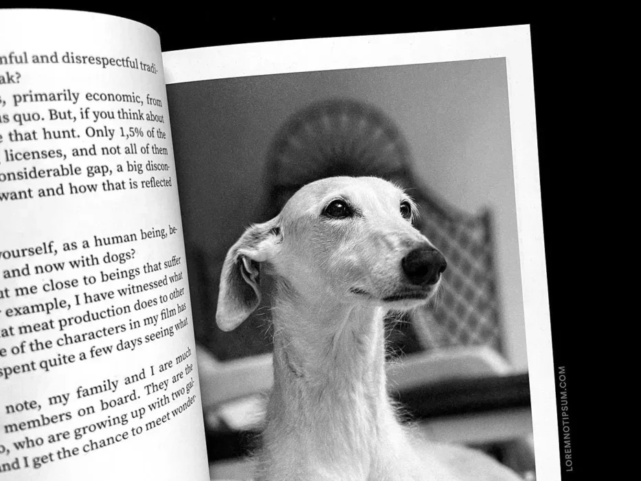 loremnotipsum_dog-and-human_magazine_issue2_05