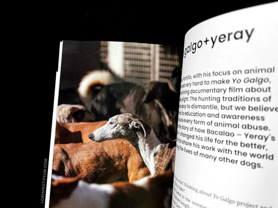 loremnotipsum_dog-and-human_magazine_issue2_06