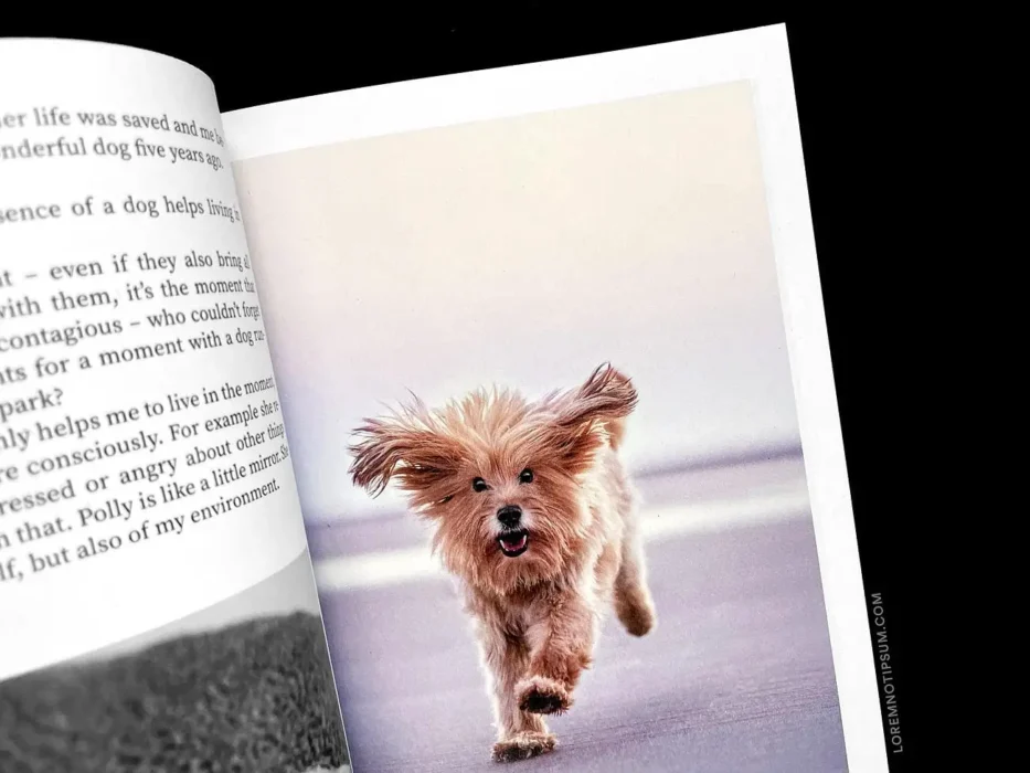loremnotipsum_dog-and-human_magazine_issue2_11