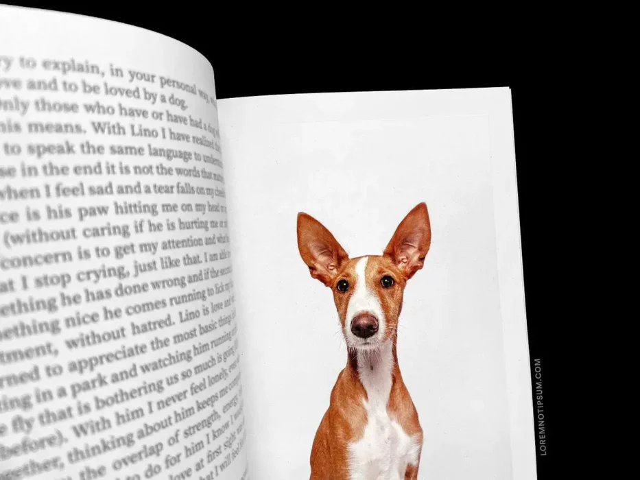 loremnotipsum_dog-and-human_magazine_issue2_12