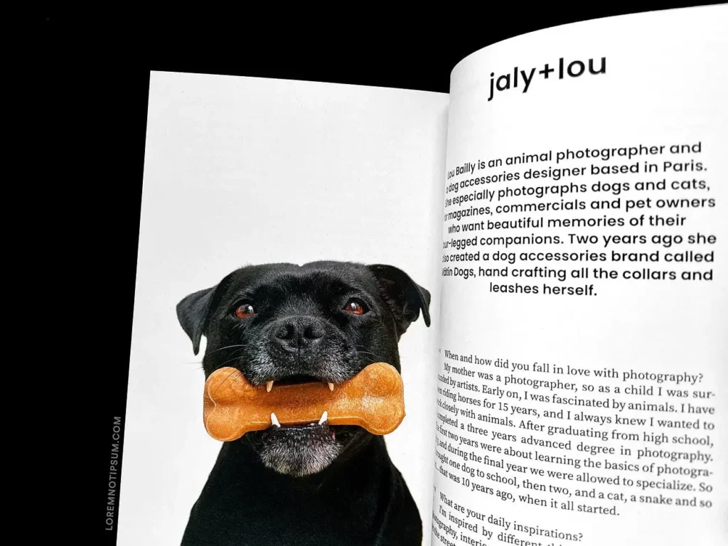 Dog+Human Magazine Issue 2 – loremnotipsum.com