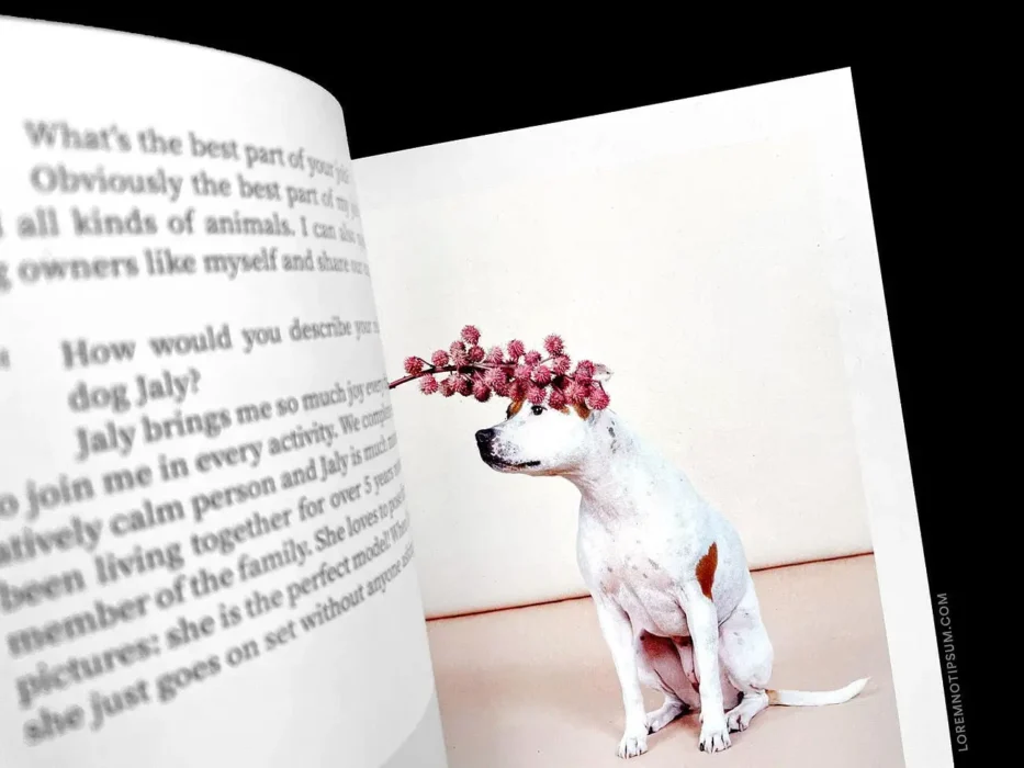 loremnotipsum_dog-and-human_magazine_issue2_16