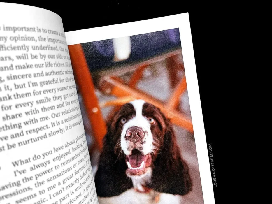 loremnotipsum_dog-and-human_magazine_issue2_18