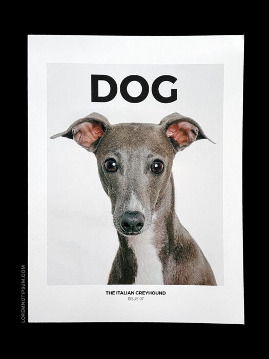 loremnotipsum_dog-magazine_issue7_cover-1