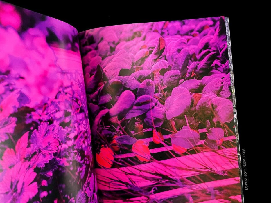 loremnotipsum_electra-magazine_issue13_26
