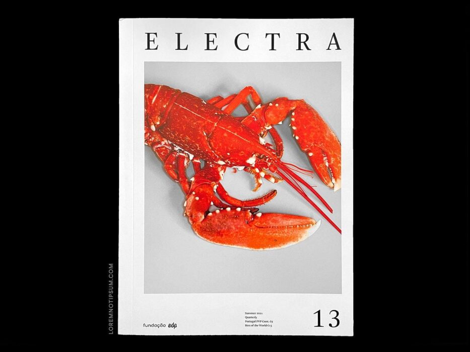loremnotipsum_electra-magazine_issue13_cover-1