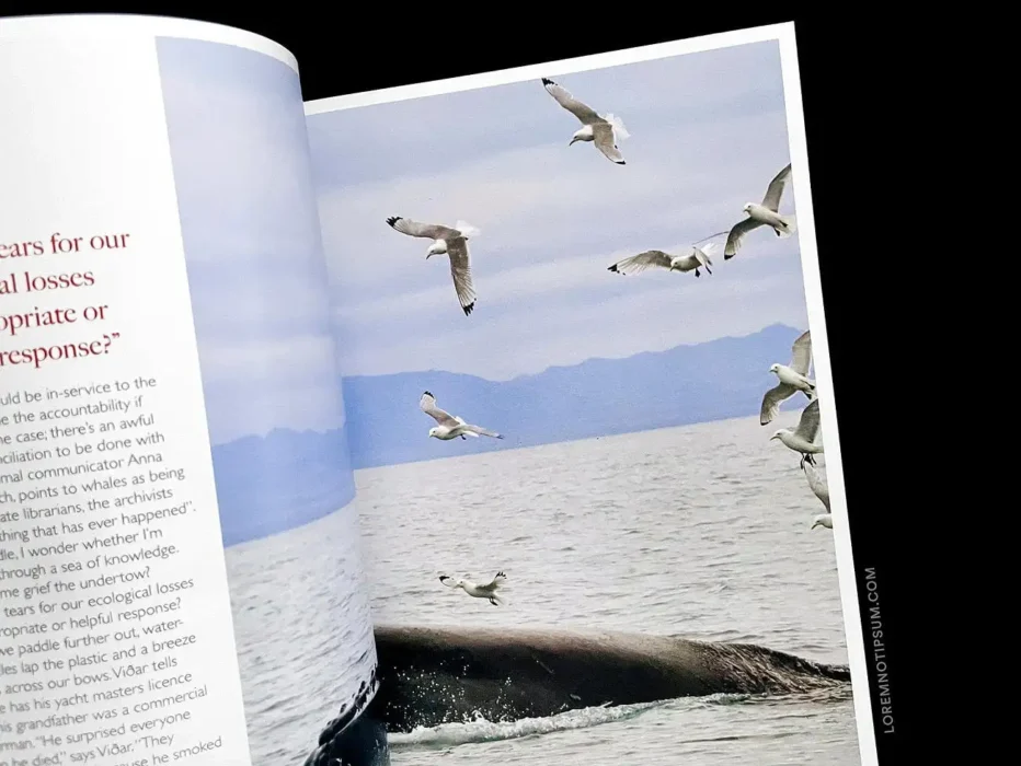 loremnotipsum_ernest-journal_issue11_07