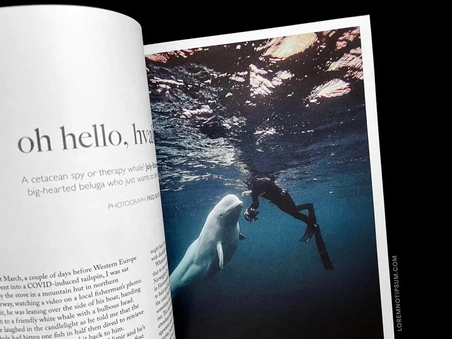 loremnotipsum_ernest-journal_issue11_12