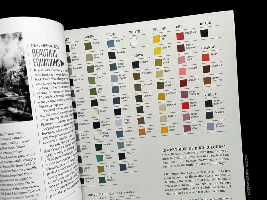loremnotipsum_ernest-journal_issue11_19