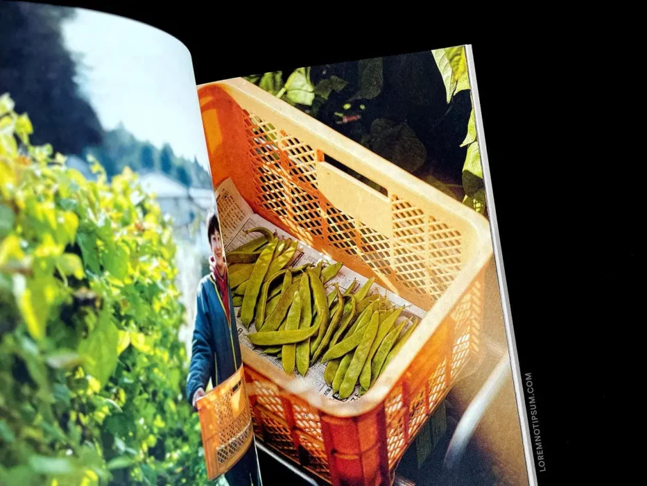 loremnotipsum_fare-magazine_issue10_kyoto_04