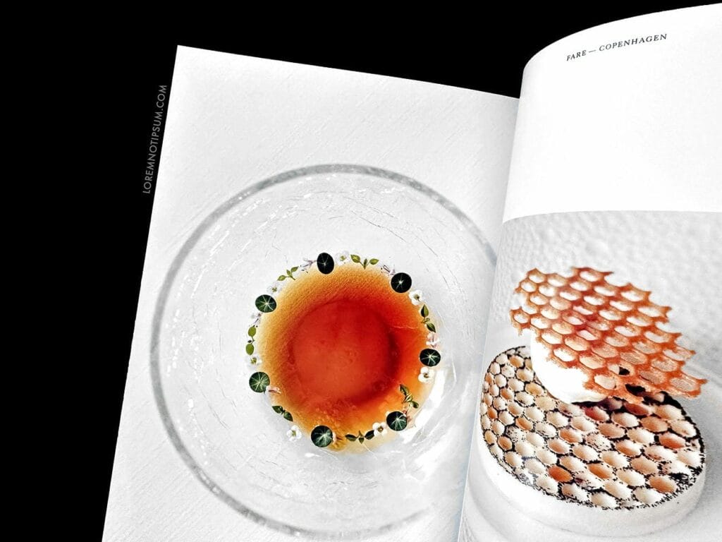 Fare Magazine Issue 12 (Copenhagen) – loremnotipsum.com