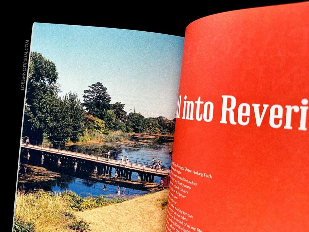 Fare Magazine Issue 12 (Copenhagen) – loremnotipsum.com