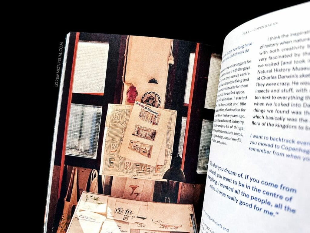 Fare Magazine Issue 12 (Copenhagen) – loremnotipsum.com