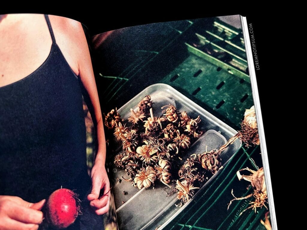 Fare Magazine Issue 12 (Copenhagen) – loremnotipsum.com