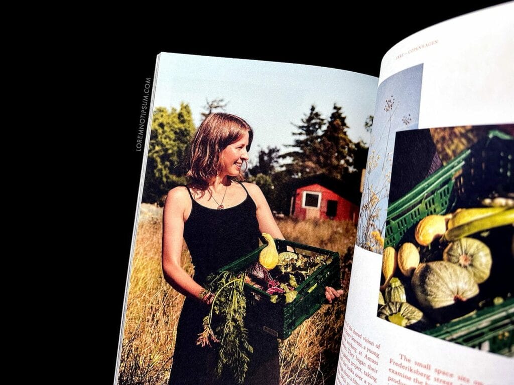 Fare Magazine Issue 12 (Copenhagen) – loremnotipsum.com