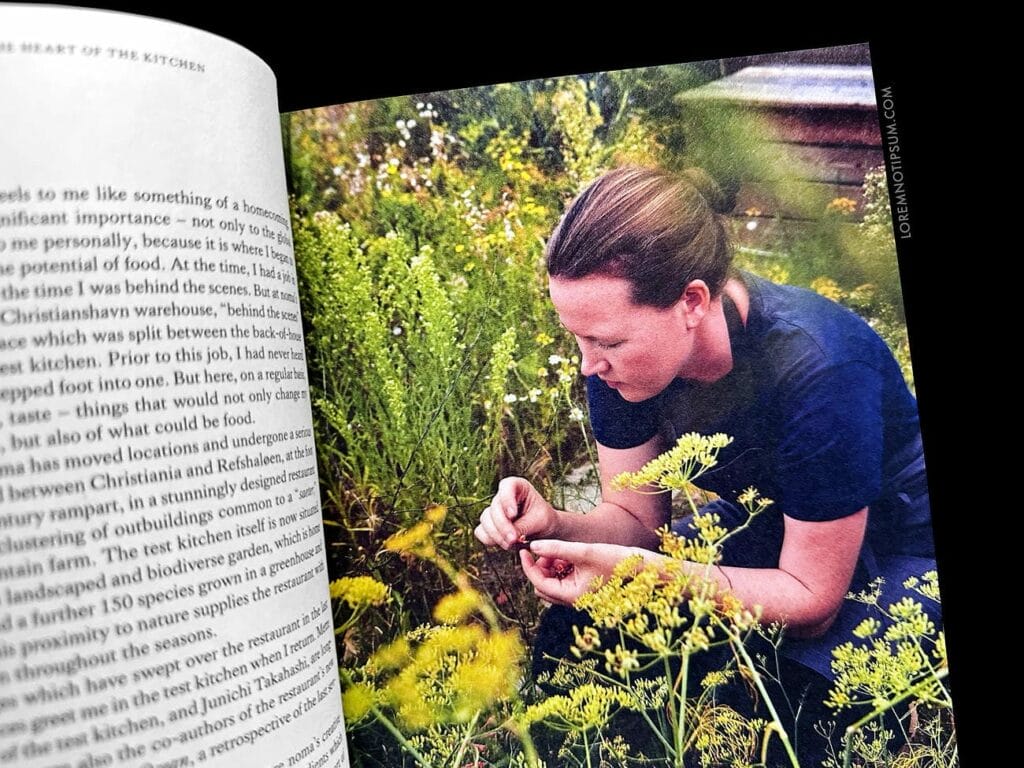 Fare Magazine Issue 12 (Copenhagen) – loremnotipsum.com