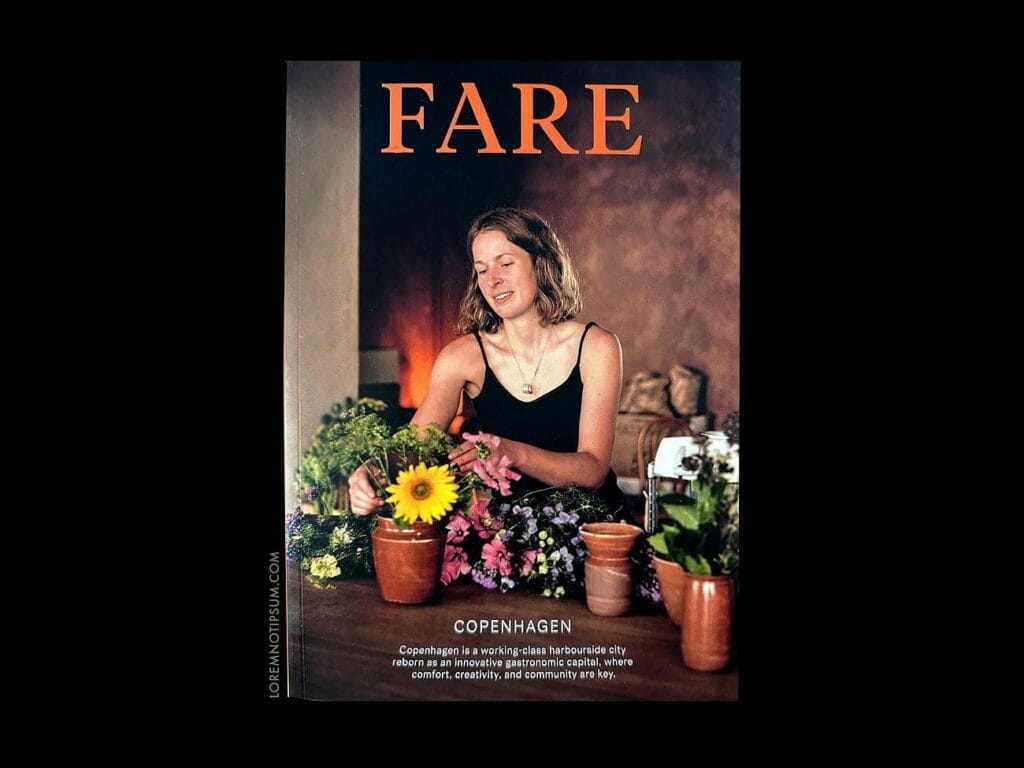 Fare Magazine Issue 12 (Copenhagen) – loremnotipsum.com