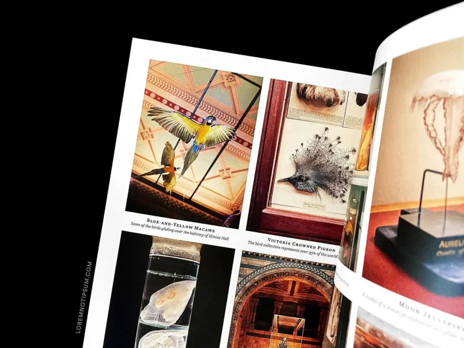 loremnotipsum_good-place-magazine_issue1_12