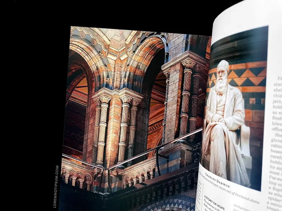 loremnotipsum_good-place-magazine_issue1_13
