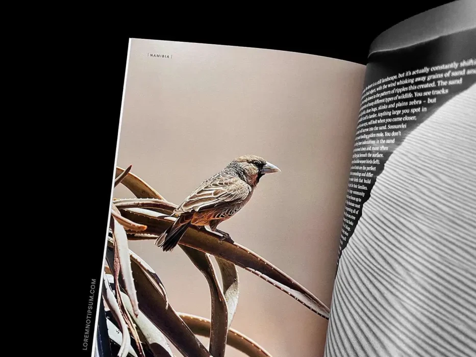 loremnotipsum_good-place-magazine_issue1_20