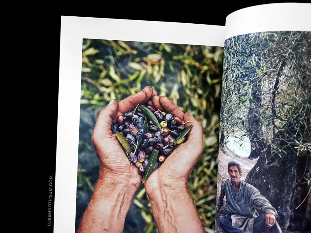 Lodestars Anthology Issue 15 (Greece) – loremnotipsum.com