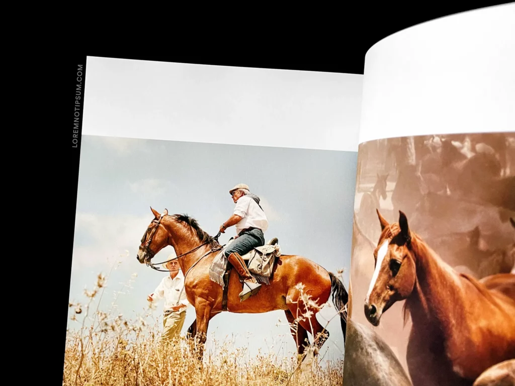 Lodestars Anthology Issue 16 (Spain) – loremnotipsum.com