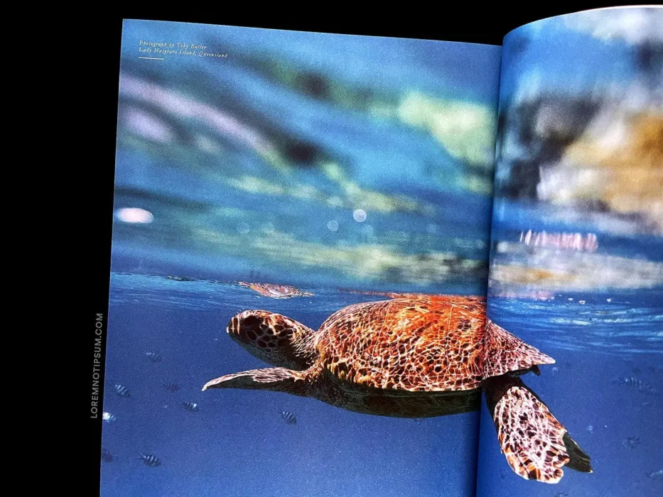 loremnotipsum_lodestars-anthology_issue3-australia-revisited_02