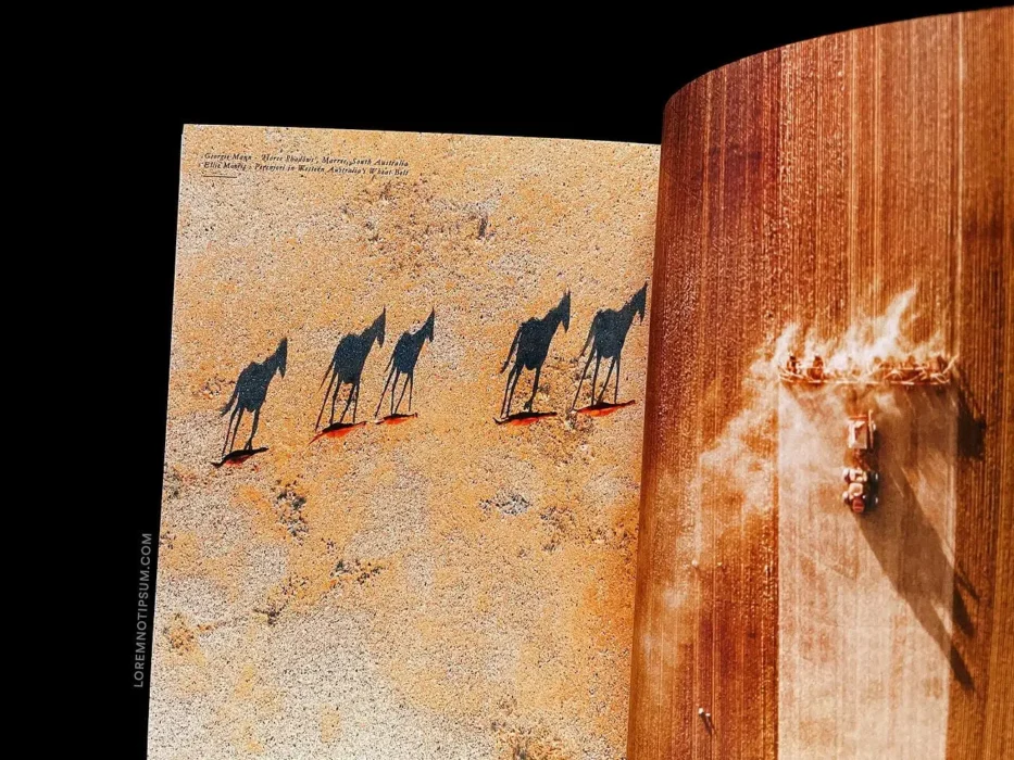 loremnotipsum_lodestars-anthology_issue3-australia-revisited_13