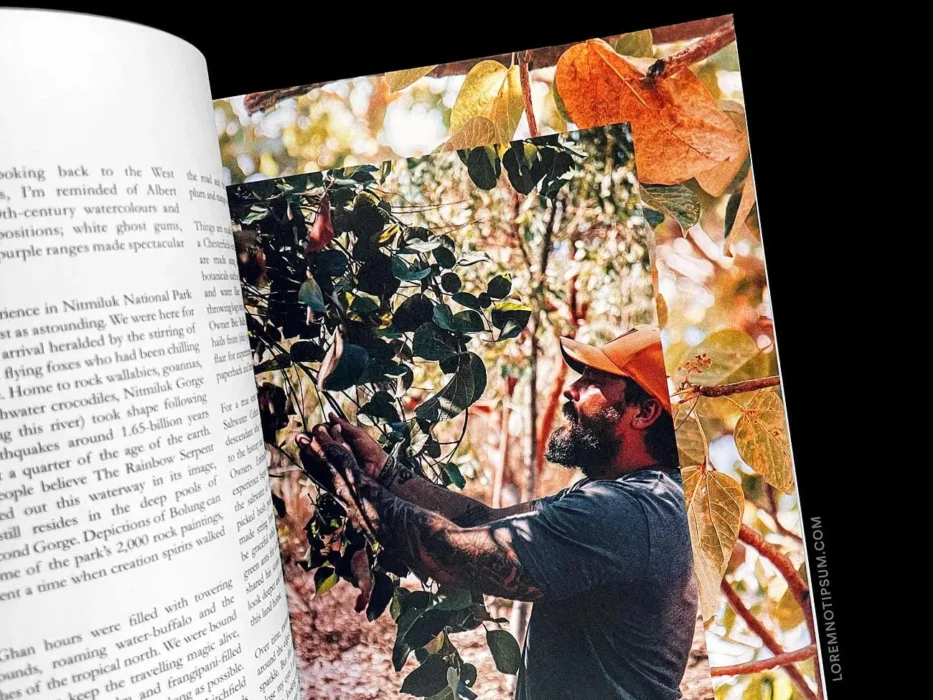 loremnotipsum_lodestars-anthology_issue3-australia-revisited_15