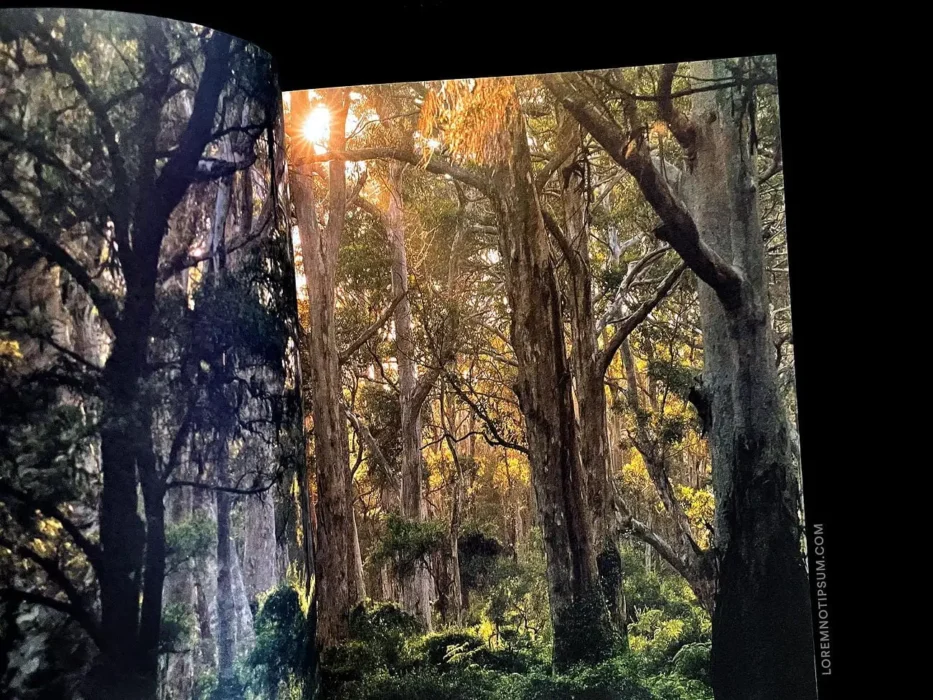 loremnotipsum_lodestars-anthology_issue3-australia-revisited_26