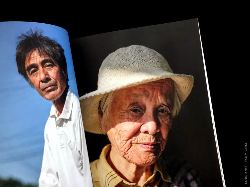 Lodestars Anthology Issue 7 (Japan, Revisited) – loremnotipsum.com
