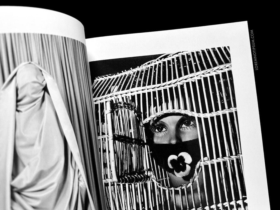 Luncheon Magazine Issue 14 – loremnotipsum.com